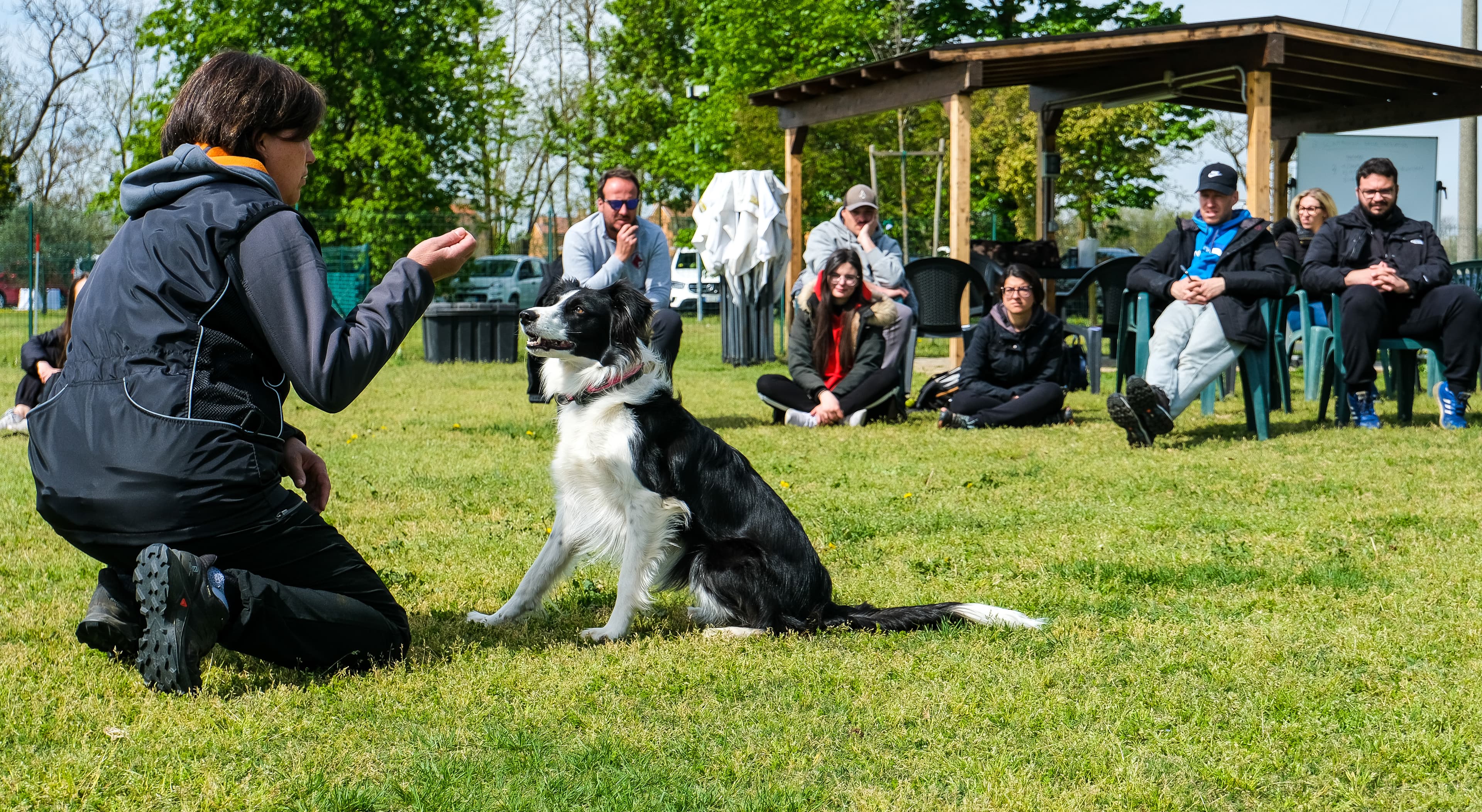 Accademia Formazione Cinofila